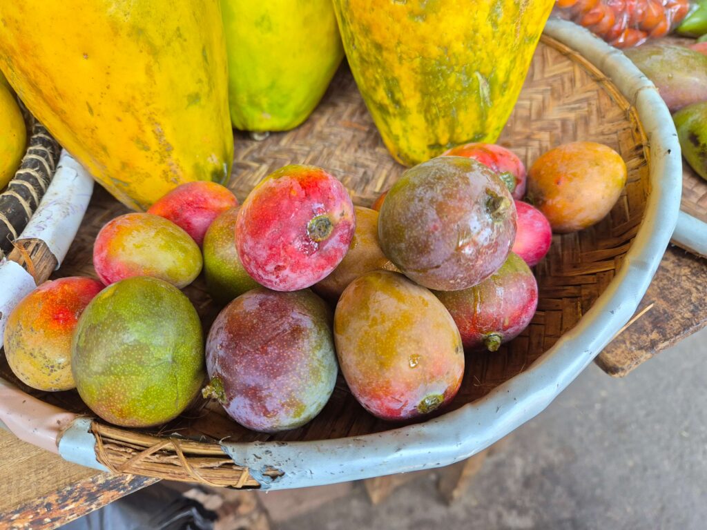 Majunga — mangoes and papayas