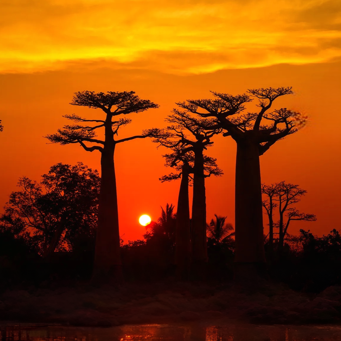 Fotoreise-Madagaskar-01-Photoroom