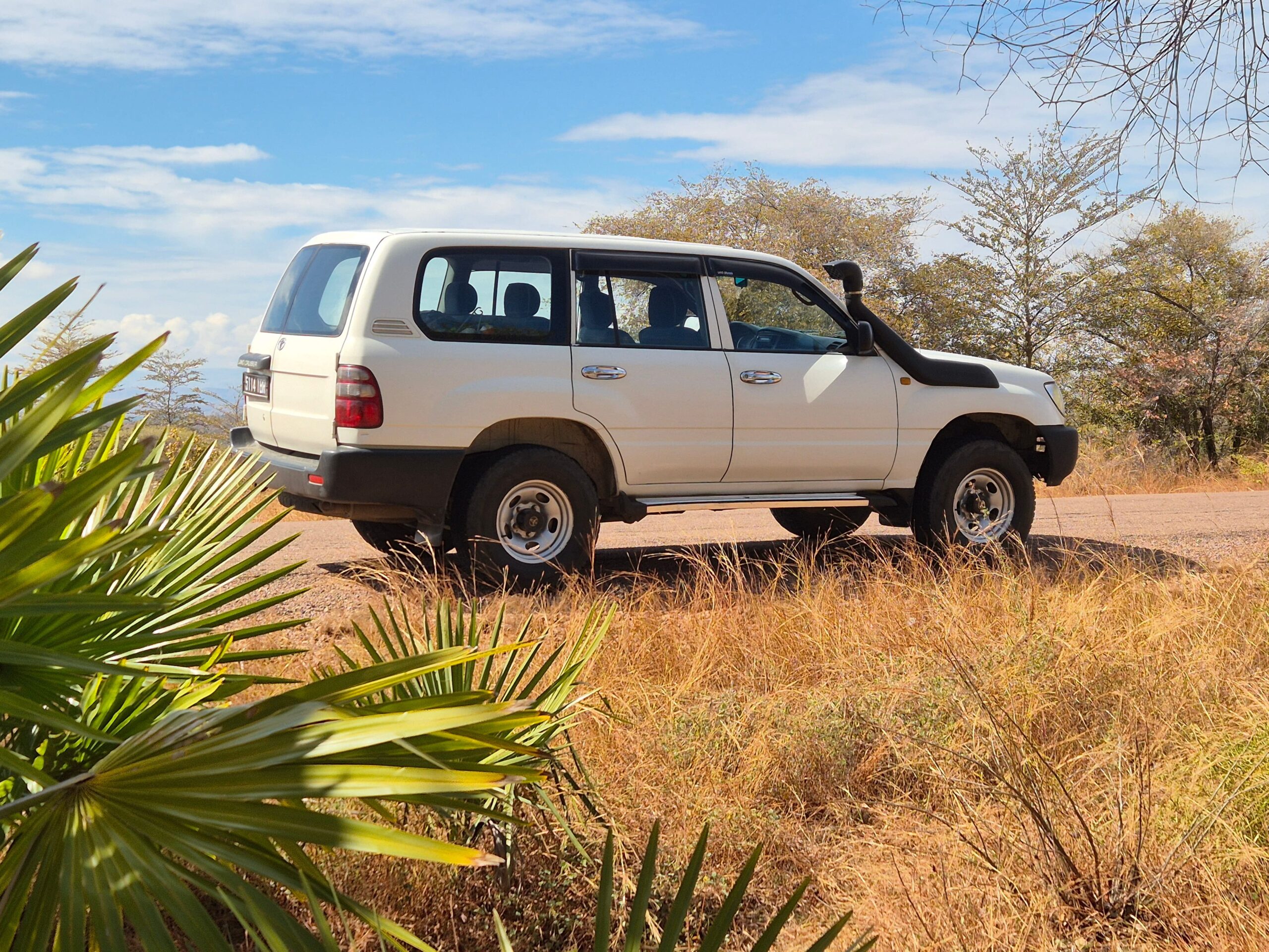 4×4 vehicle on a Madagascar road with driver