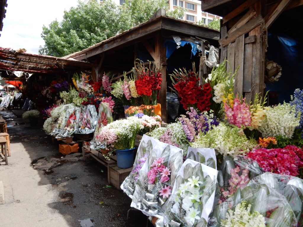 Antananarivo — funeral flowers, Anosy