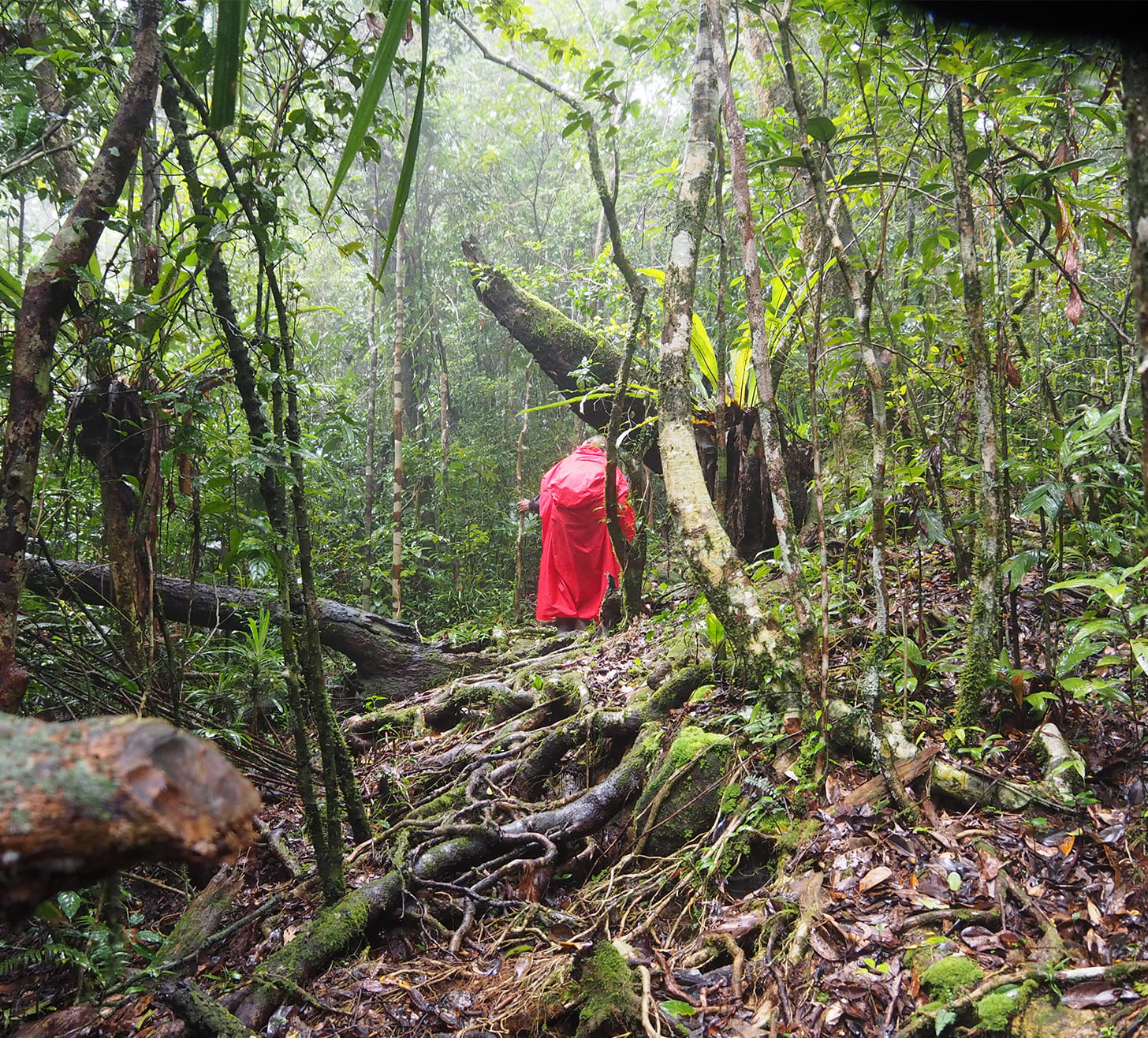 Solo travel Madagascar
