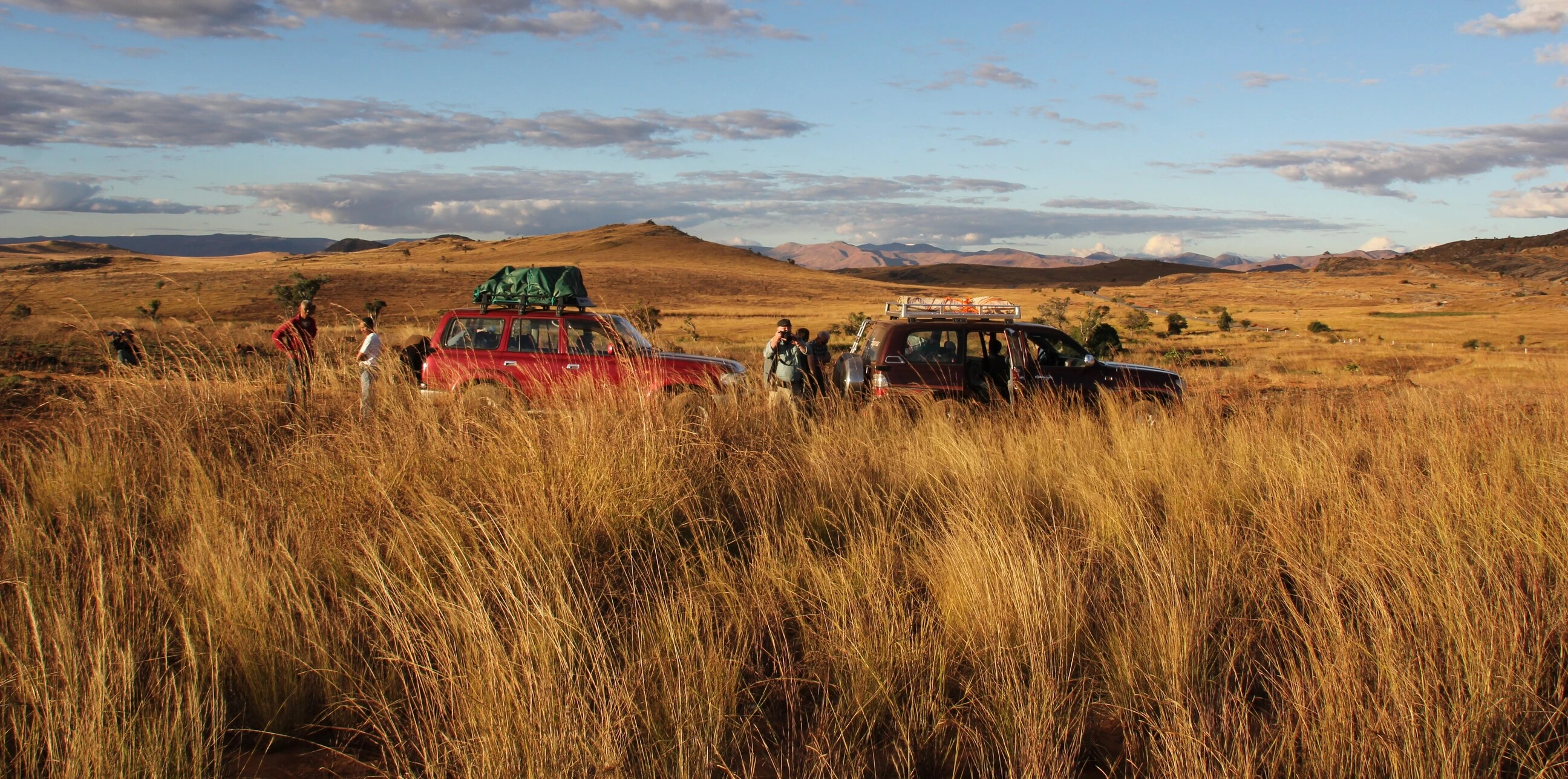 4x4s Grass1 - Car Rental - Travel - Madagascar