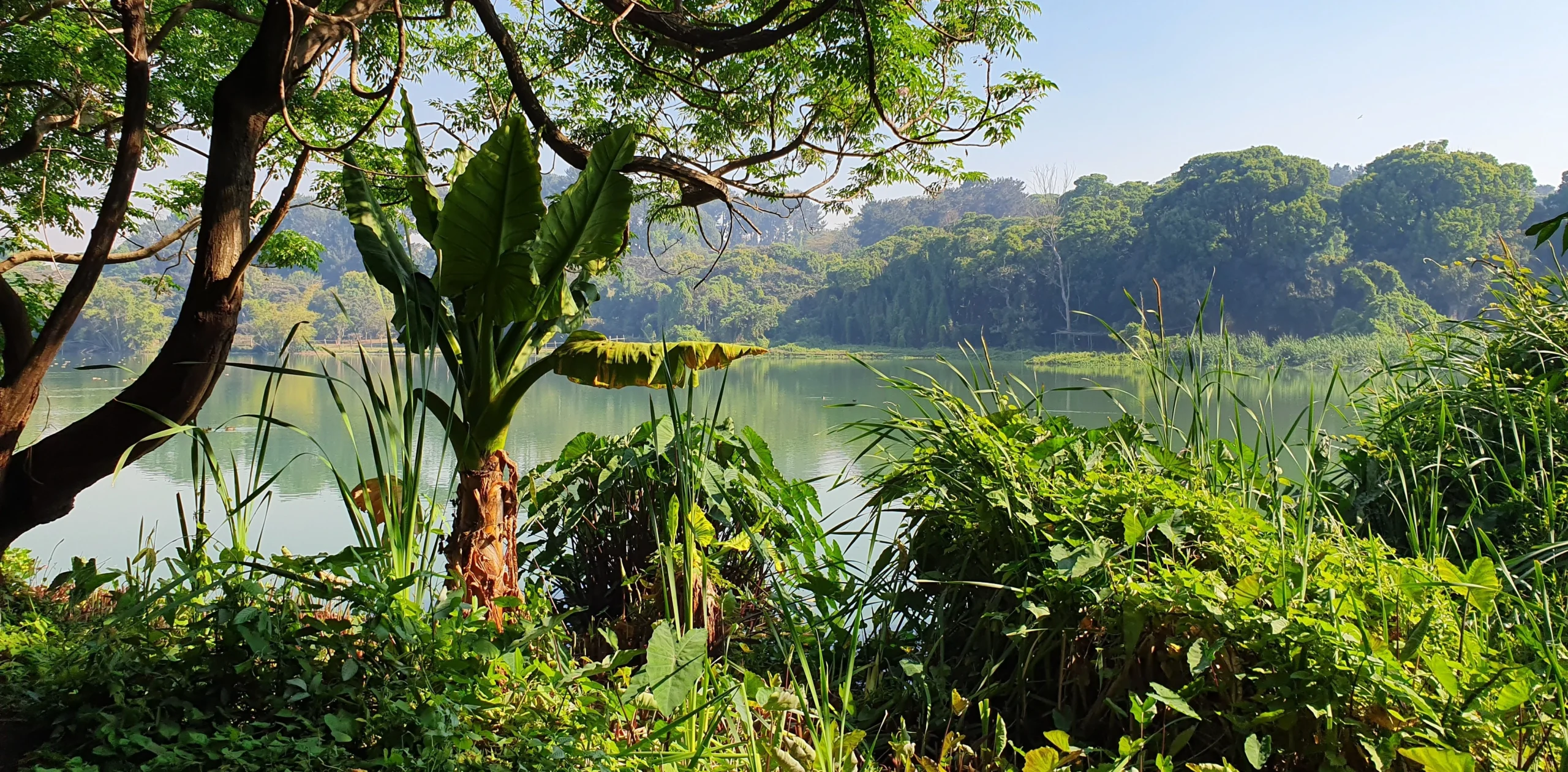 Greenery n' Lake - National Parks - Madagascar