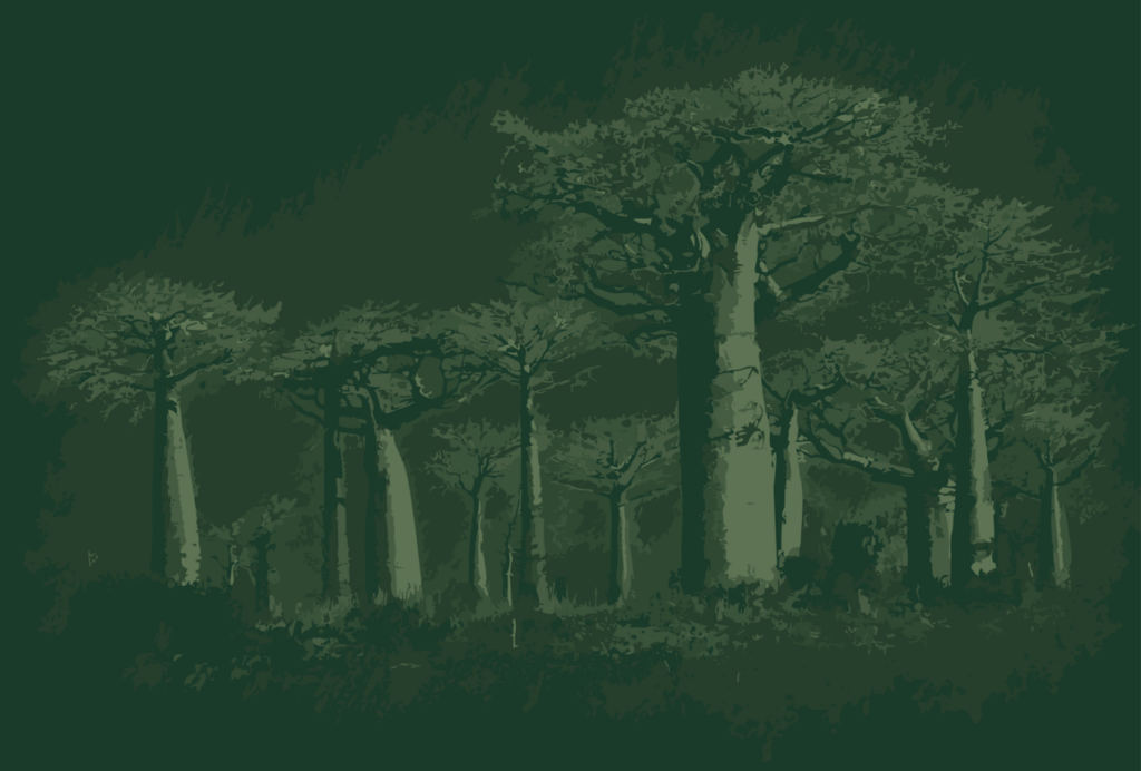 Baobabs - Green - National Parks - Madagascar