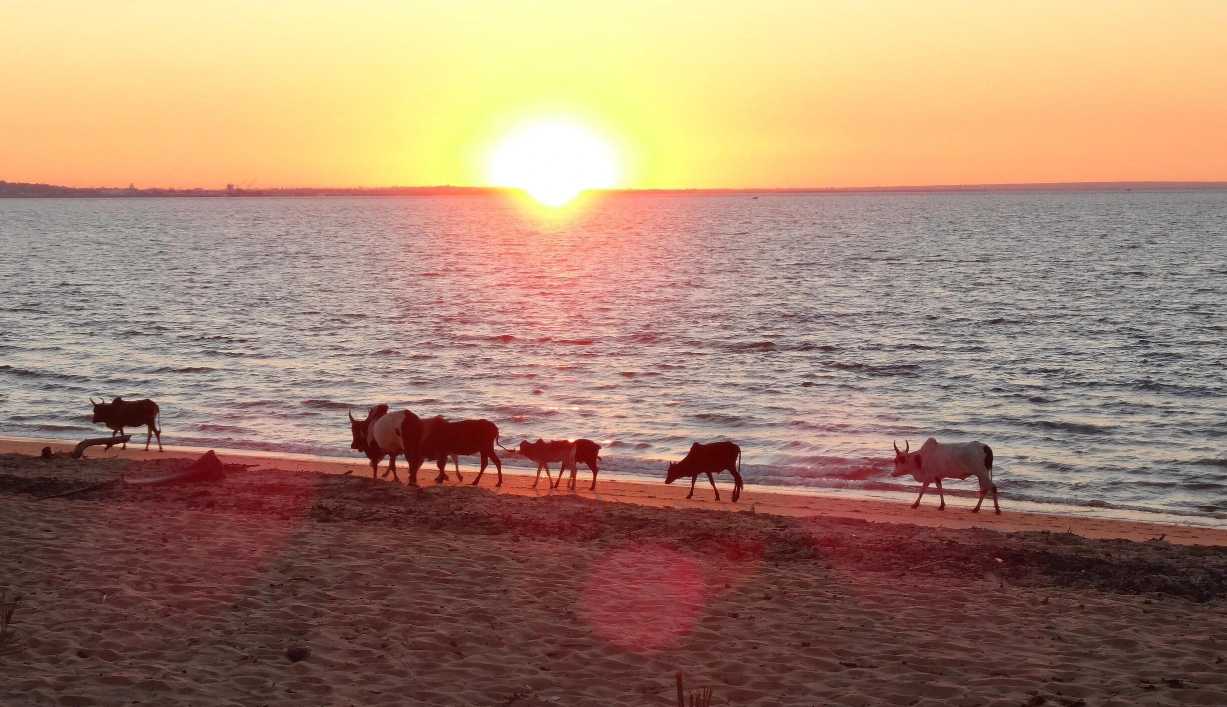 The Essential West, Madagascar