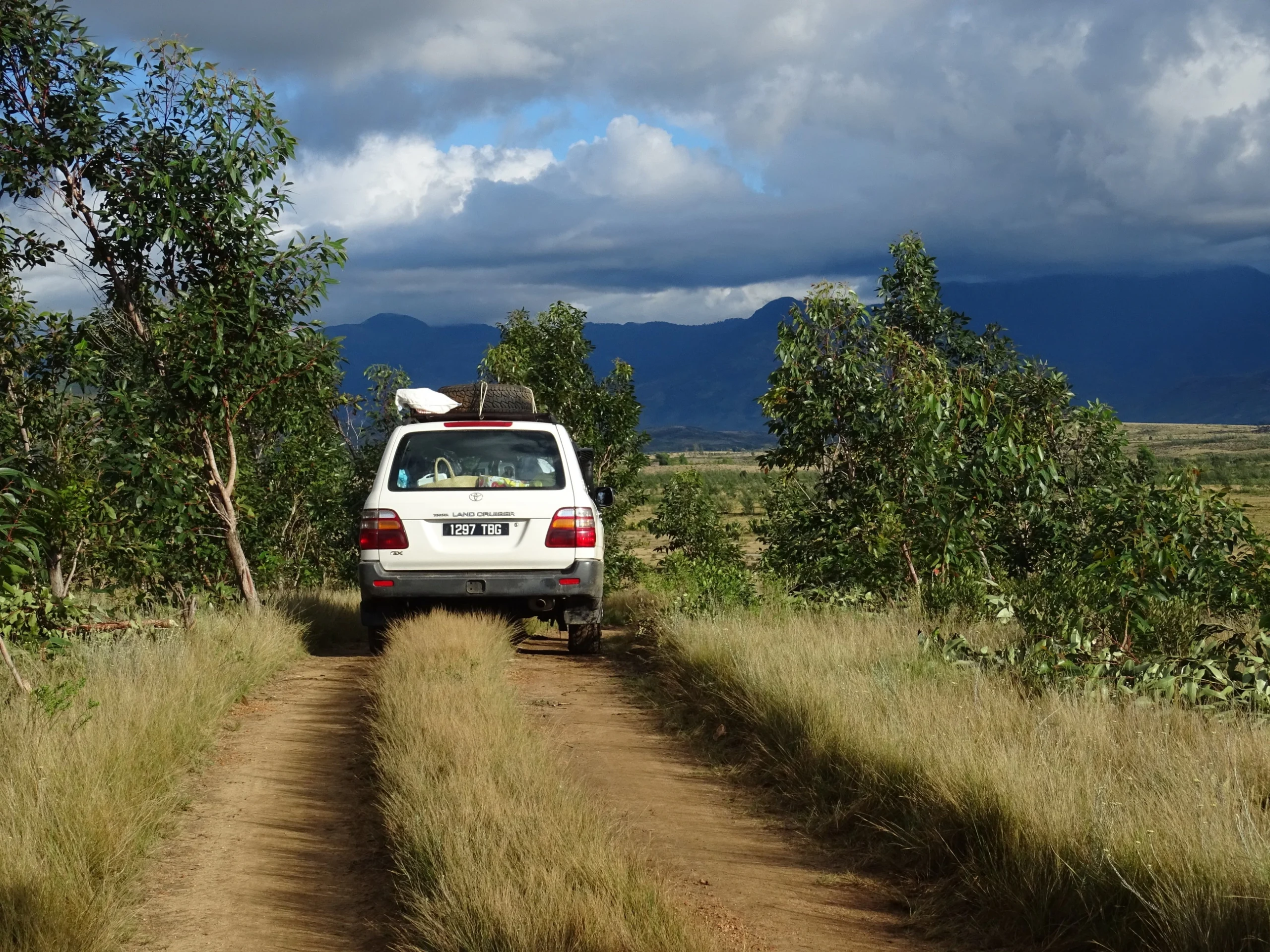 Overgrown track in Madagascar