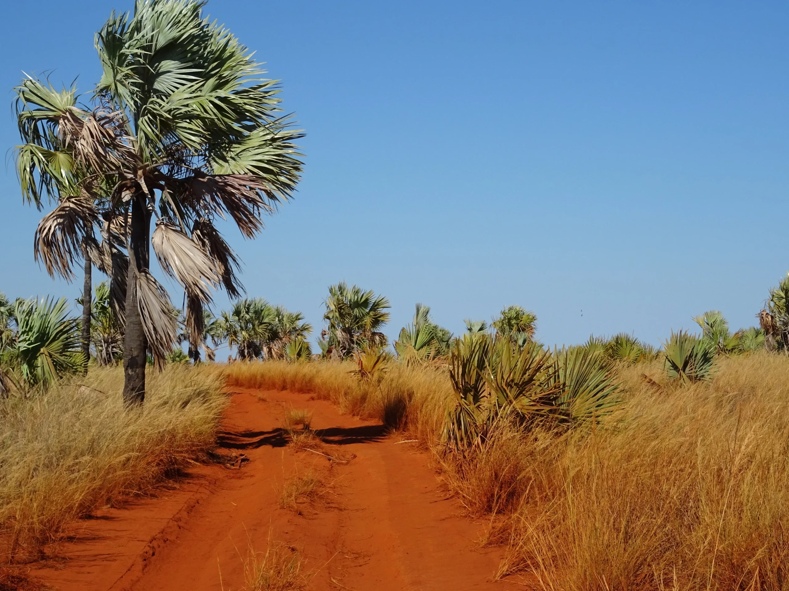 Red laterite road in Madagascar