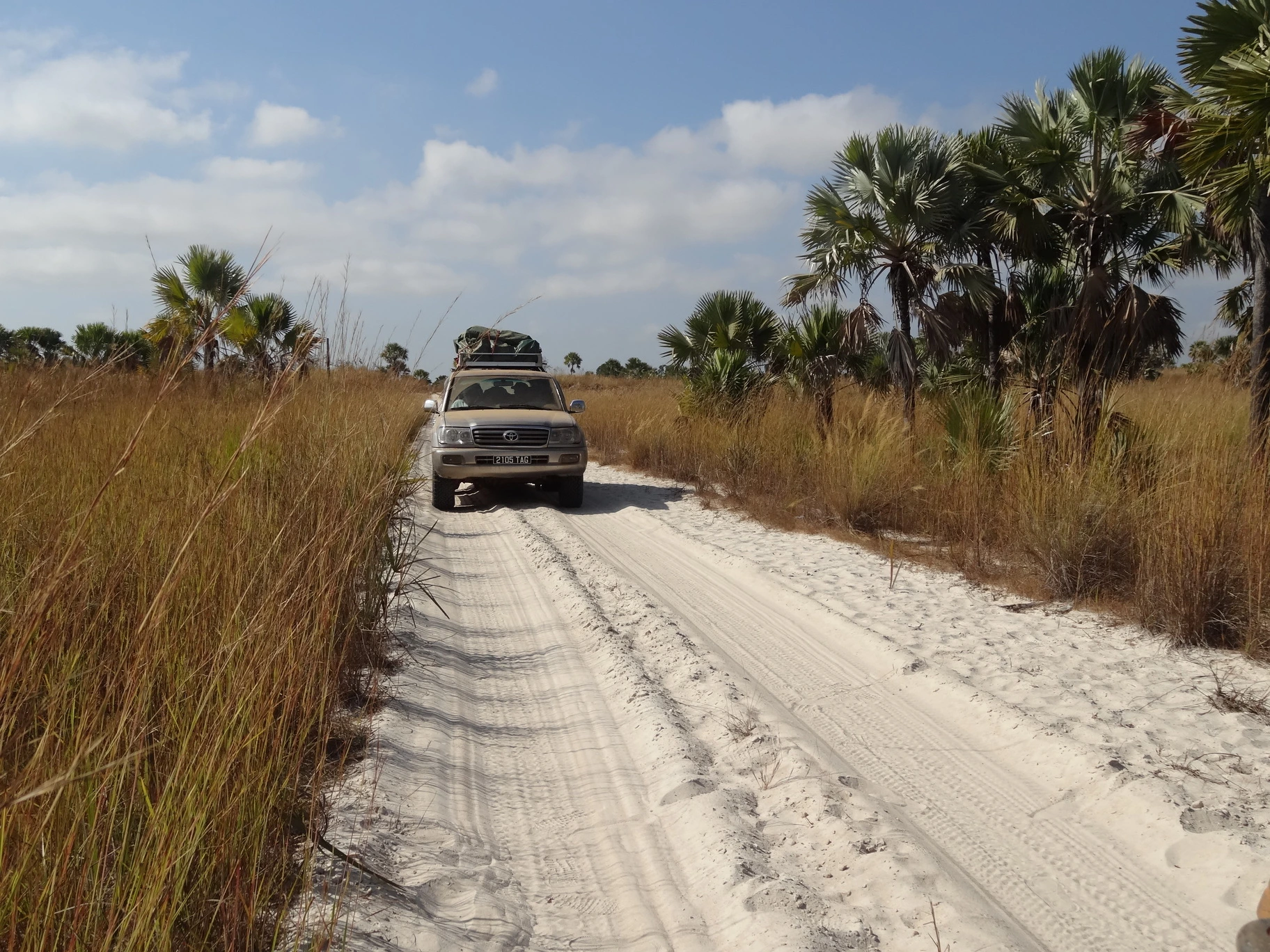 Sandy road in Madagascar
